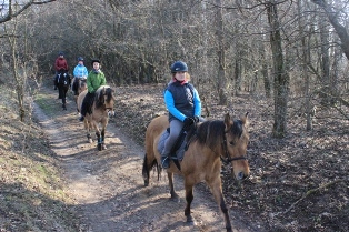 27-02-2014 00-05-034d20ead85370.jpg